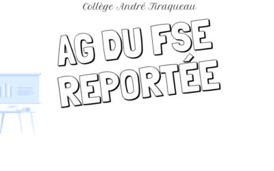 REPORT AG FSE