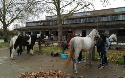 Après-midi Equitation à l’AS