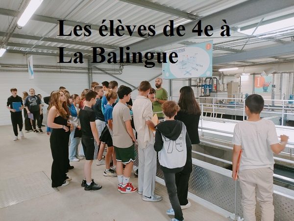 Sortie à l’usine de traitement de La Balingue