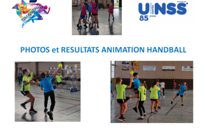 Animation Handball